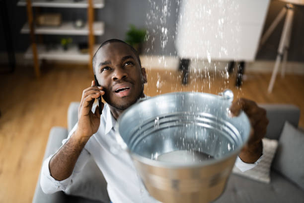 Best 24/7 water damage repair  in Ivins, UT