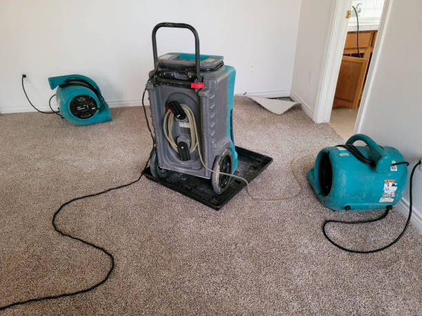 Water damage restoration experts in UT