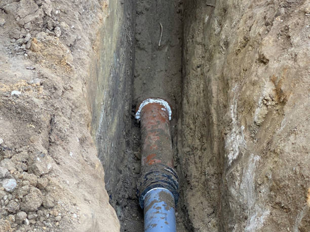 Best Flood damage cleanup  in Ivins, UT