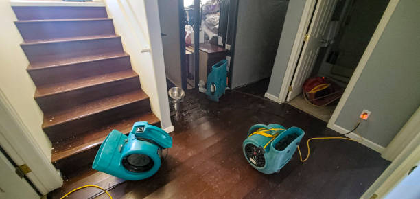 Best Water damage restoration mold remediation  in Ivins, UT