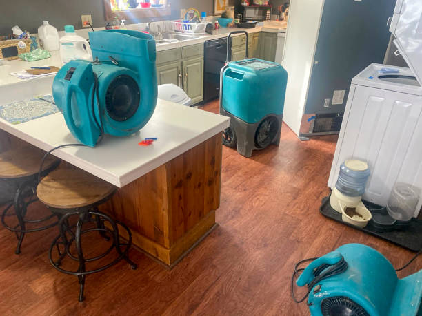  Ivins, UT Water damage restoration Pros