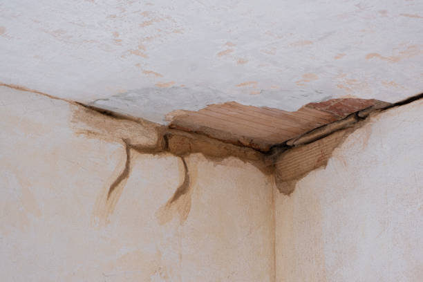 Best Flood restoration services  in Ivins, UT