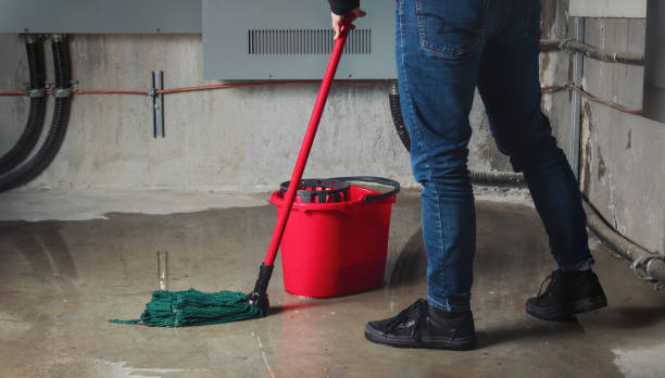 Best Ceiling water damage repair  in Ivins, UT