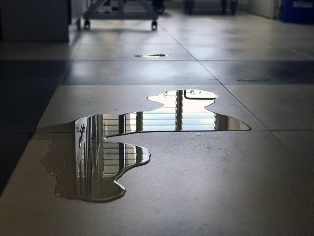 Best Water damage restoration experts  in Ivins, UT