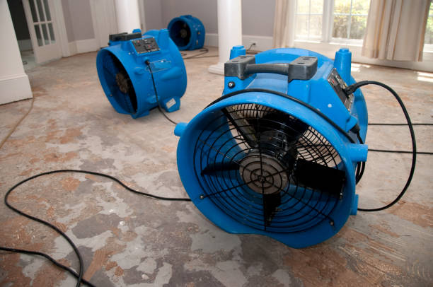 Best Emergency water damage restoration  in Ivins, UT
