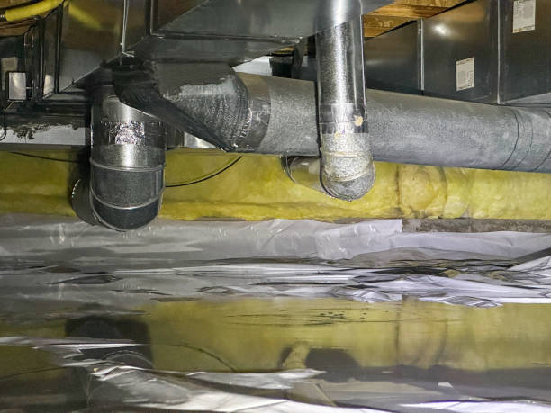 Best Mold removal after water damage  in Ivins, UT