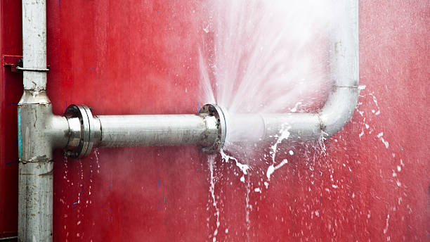 Best Basement water damage restoration  in Ivins, UT